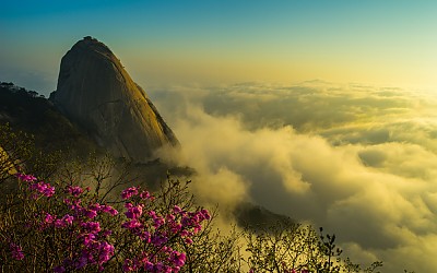 삼각산의 봄