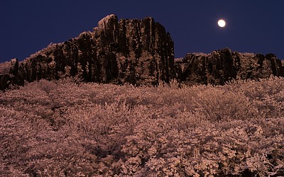 서석대의 겨울