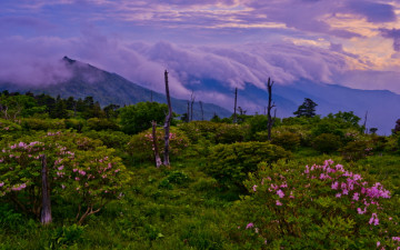 제석봉의 늦은 봄