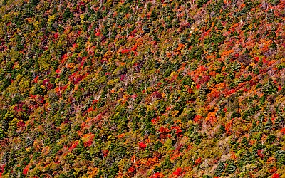 지리산3