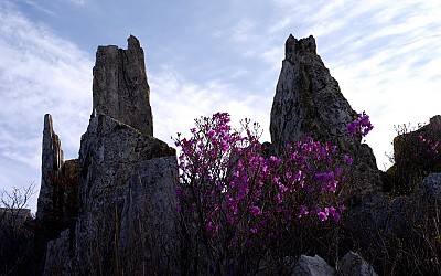 주작산