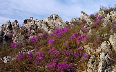 주작산