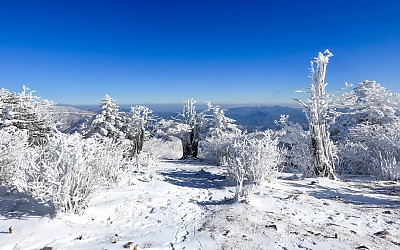 태백산 설경
