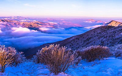 태백산 또 다녀왔습니다.