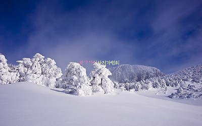 한라산 운무