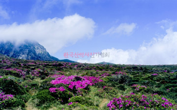 한라산.1