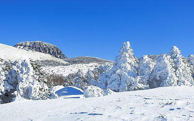 한라산 설경