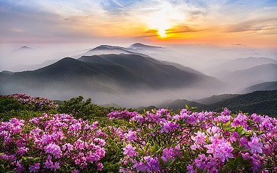 함백산 일몰
