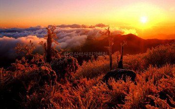 덕유산 향적봉 일출