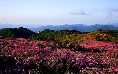 좋은아침