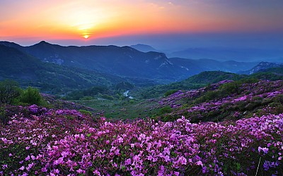 황매산 일출
