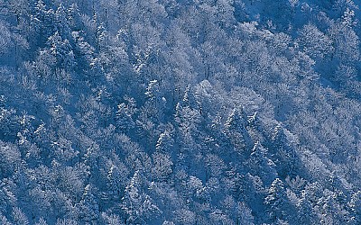 입회 후 첫번째로 사진을 등록합니다.