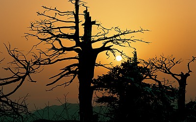 무식하면 용감하다?