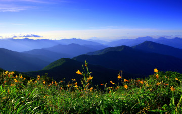 지리산의 ,美 (夏)