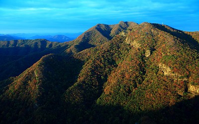 만산홍엽