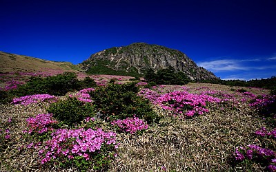 한라산