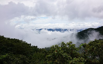 정녕II