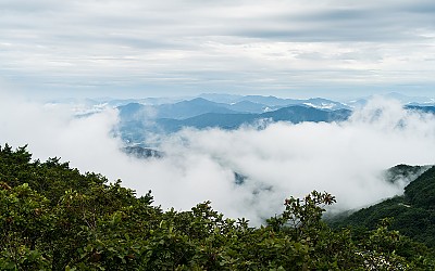정녕