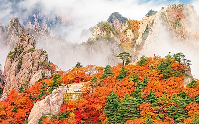 설악산봉정암추색