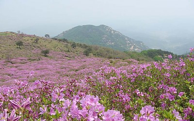 황매산
