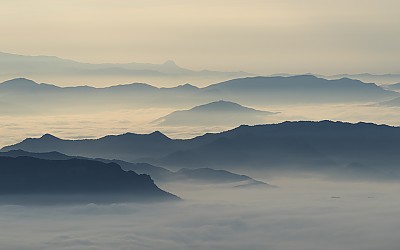 선경