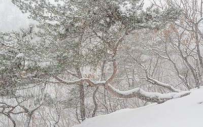 수락산 겨울