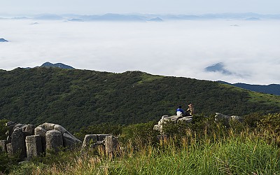 동행