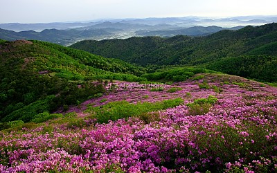 일림산