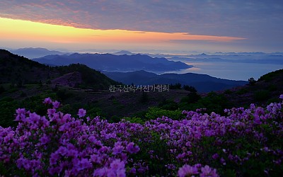 일림산의여명
