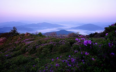 초암산