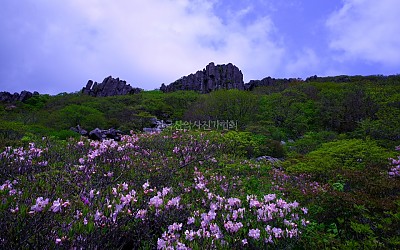 서석대의봄