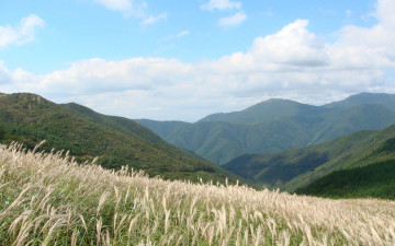 신불산 간월재 억새