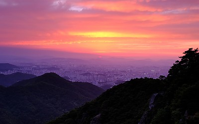 오늘