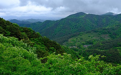 비歌