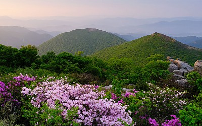 풍경