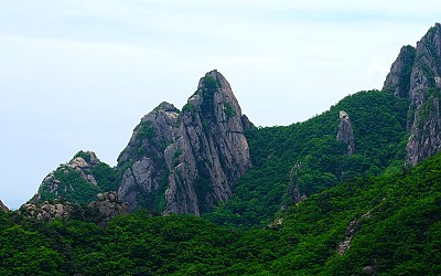 망원