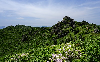 신록