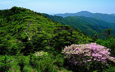 동행