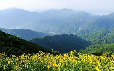 최선