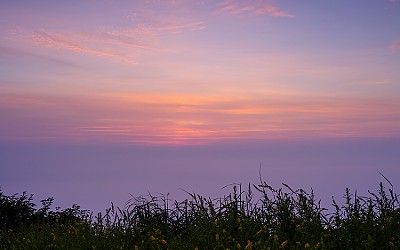 숨은그림찾기
