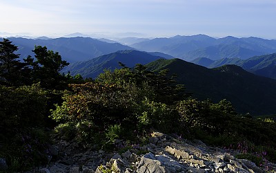 반야
