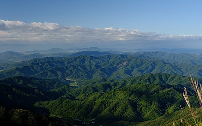파노라마