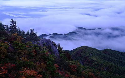 결국