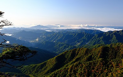 화각