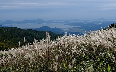 천관산