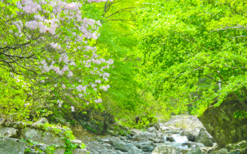 홍천군? 조교리 이름모를 계곡