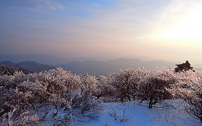      13년만에온 덕유에  끈물빙화