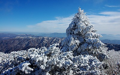 눈보라를 거친 후
