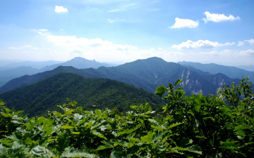 바위와 신록 구름의  하모니