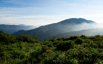 노고단의 여름 !